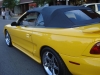 DSC00077.JPG