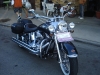 DSC00323.JPG