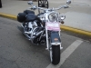 DSC00379.JPG