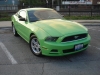 DSC00726.JPG