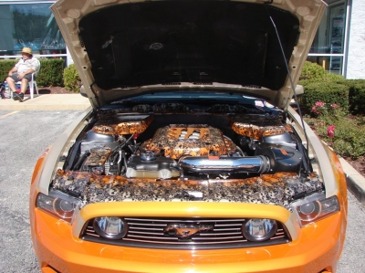 2020 Terry's Ford Car & Bike Show
